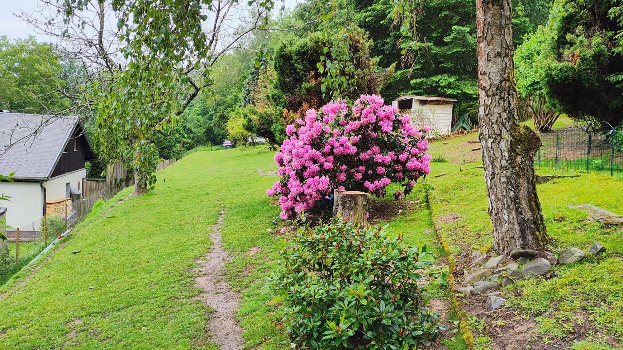 Sessles Waldhaeusschen Dietzhausen ซูล ภายนอก รูปภาพ