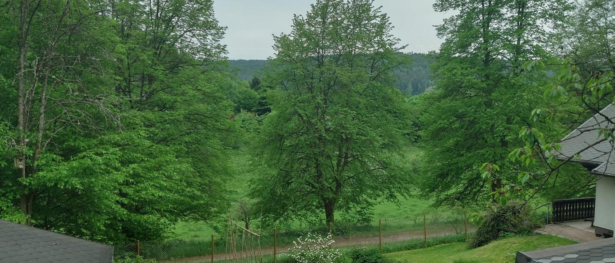 Sessles Waldhaeusschen Dietzhausen ซูล ภายนอก รูปภาพ